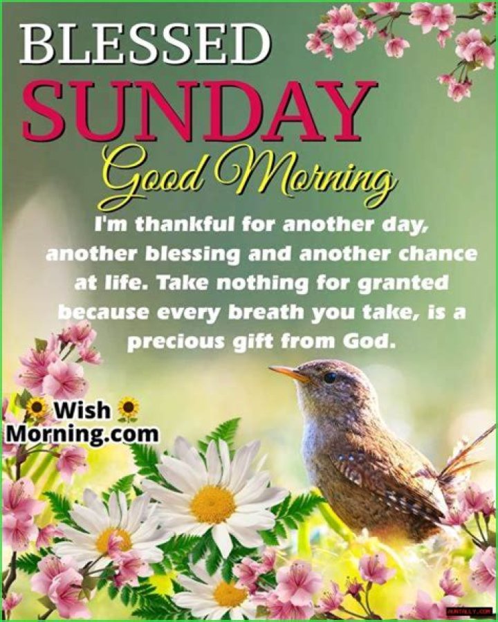 Discover The Uplifting Power Of Free Sunday Morning Blessings